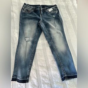 Vigoss jeans, Chelsea skinny. Women’s plus. Size 16w. NWT